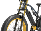 LANKELEISI RV700