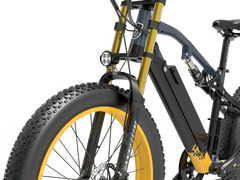 LANKELEISI RV700