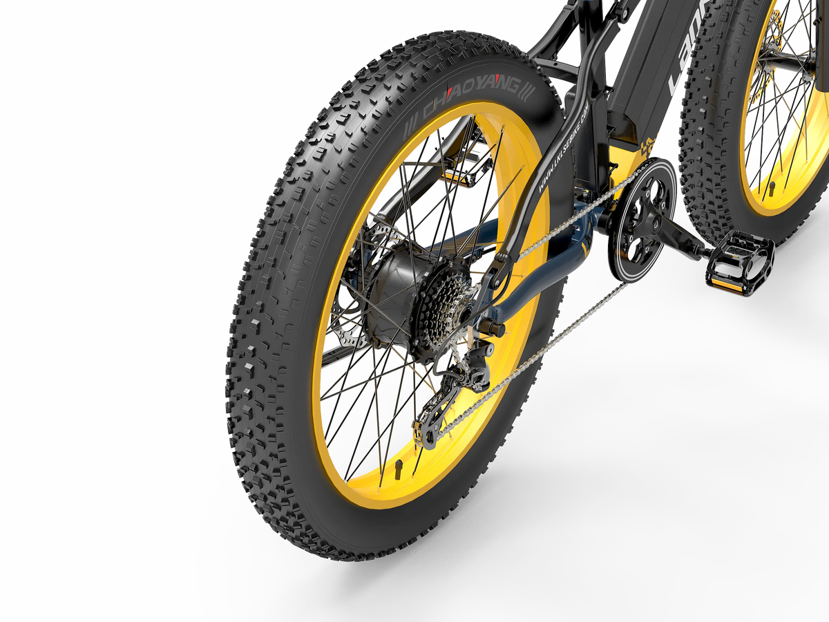 LANKELEISI RV700