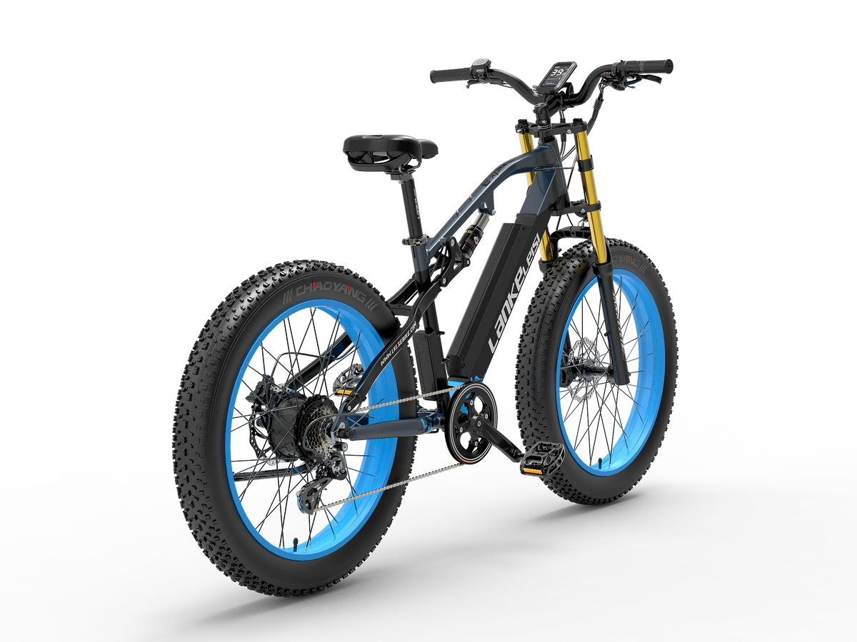 LANKELEISI RV700