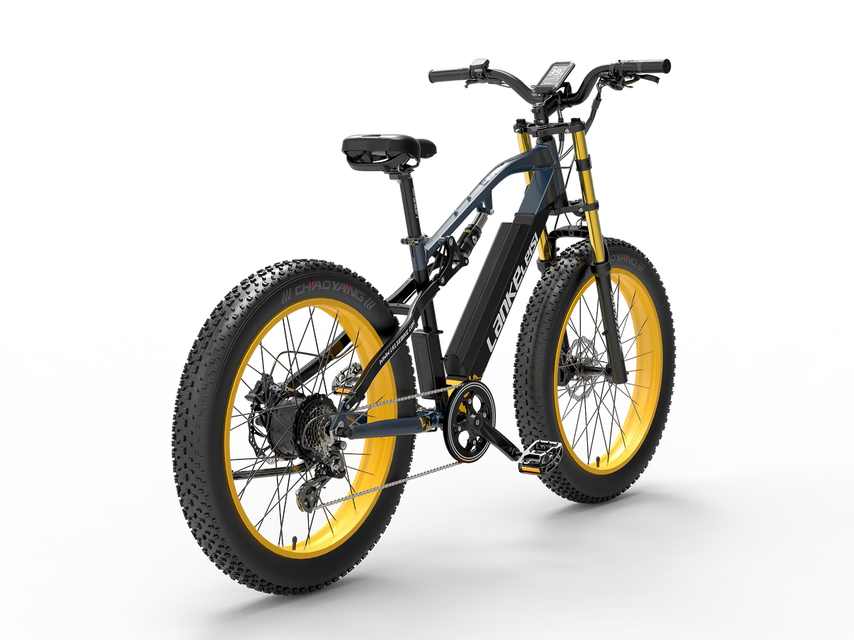 LANKELEISI RV700
