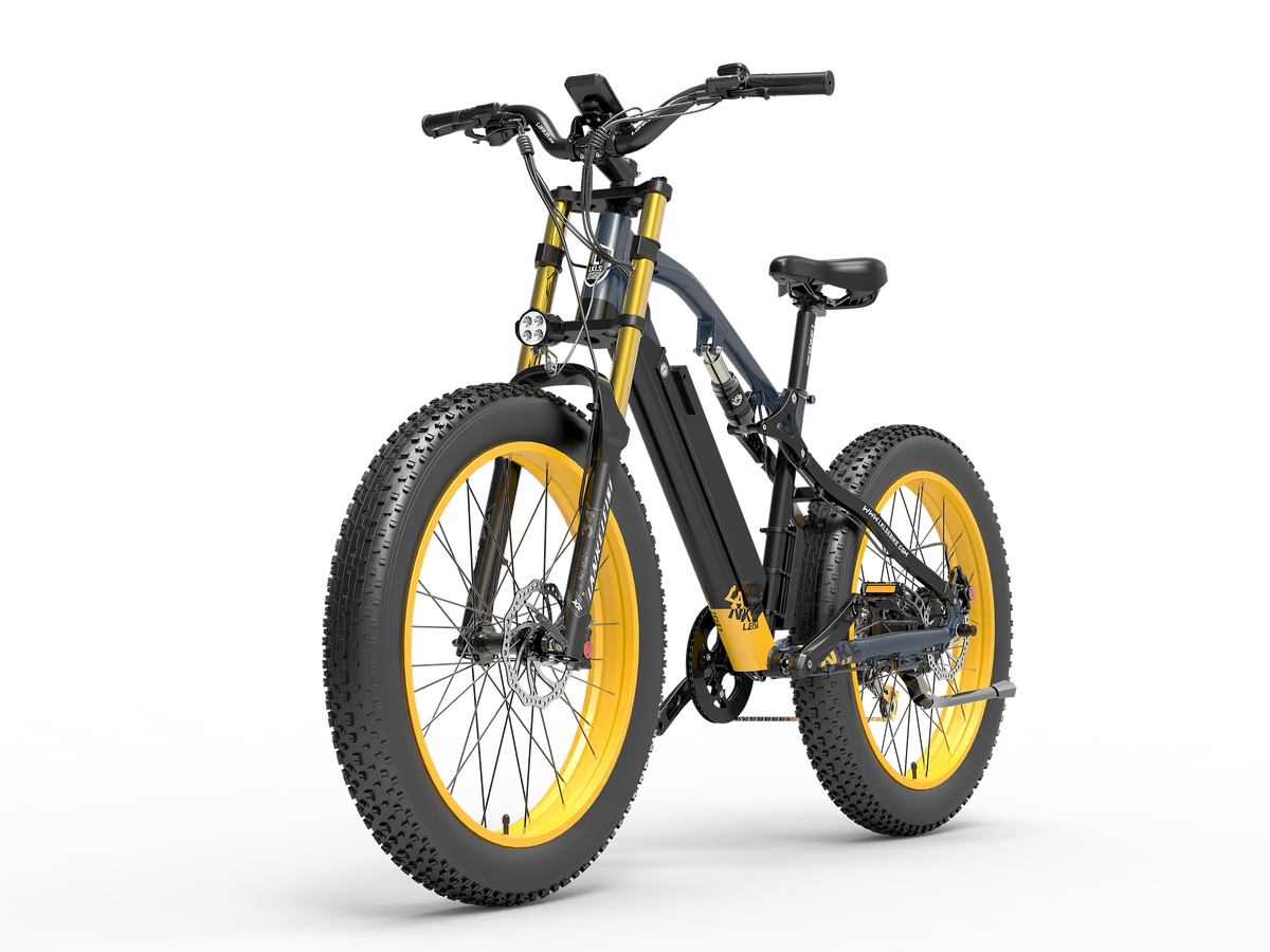 LANKELEISI RV700