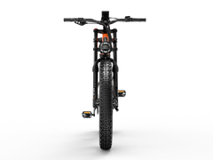 LANKELEISI RV800PLUS