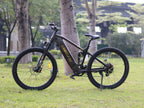 LANKELEISI RX600PRO