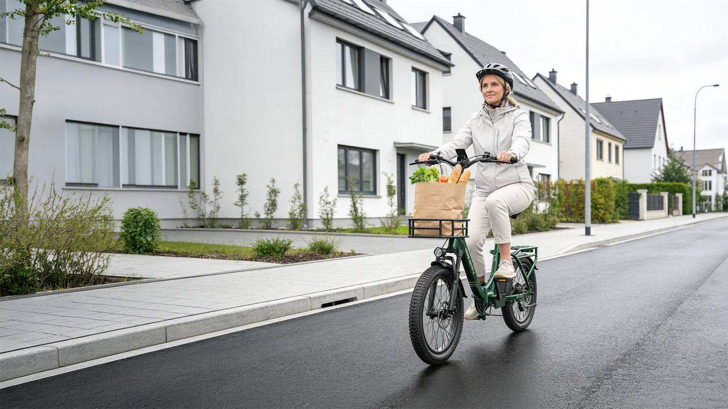 Electric Cargo Bikes