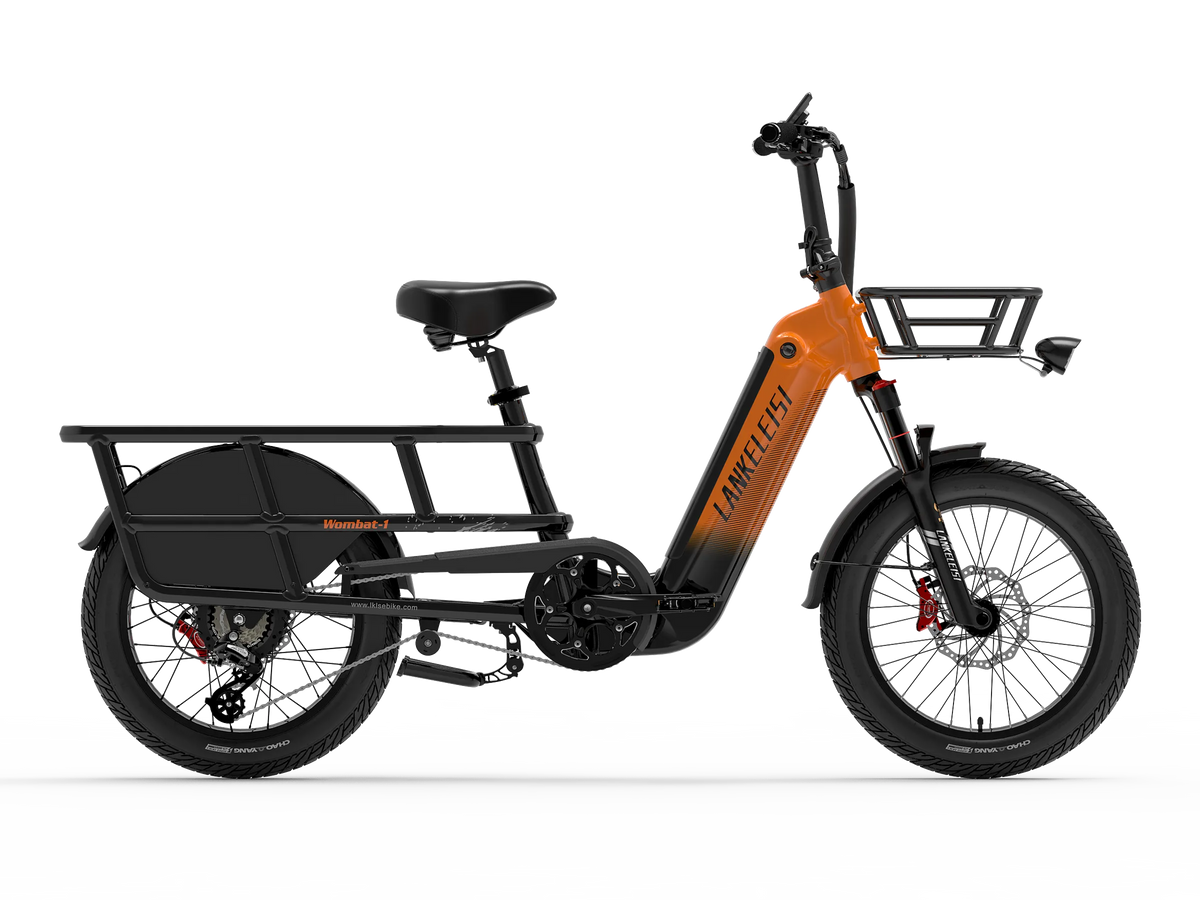 Cargo E-Bike Lankeleisi Wombat-1 E-Lastenrad 1000W 48V20Ah Samsung Akku – Gleecycle