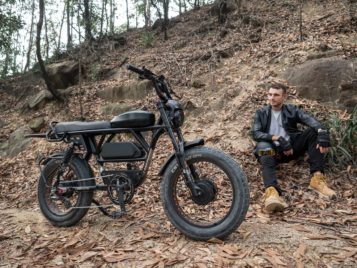 Knight Bike LANKELEISI X-BLACK KNIGHT Dual Battery Dual Motor Electric Dirt Bike ...