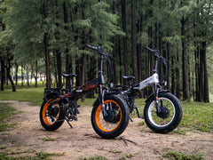 LANKELEISI X2000 MAX