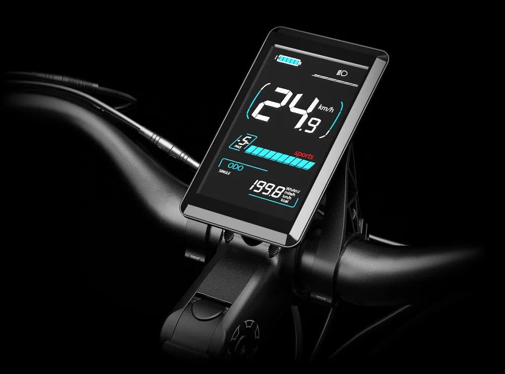 Color Smart LCD Display