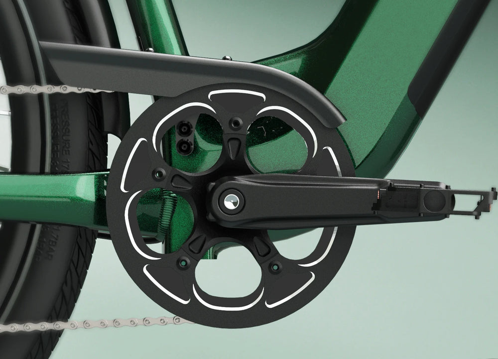 48T Crankset with Chain Guard
