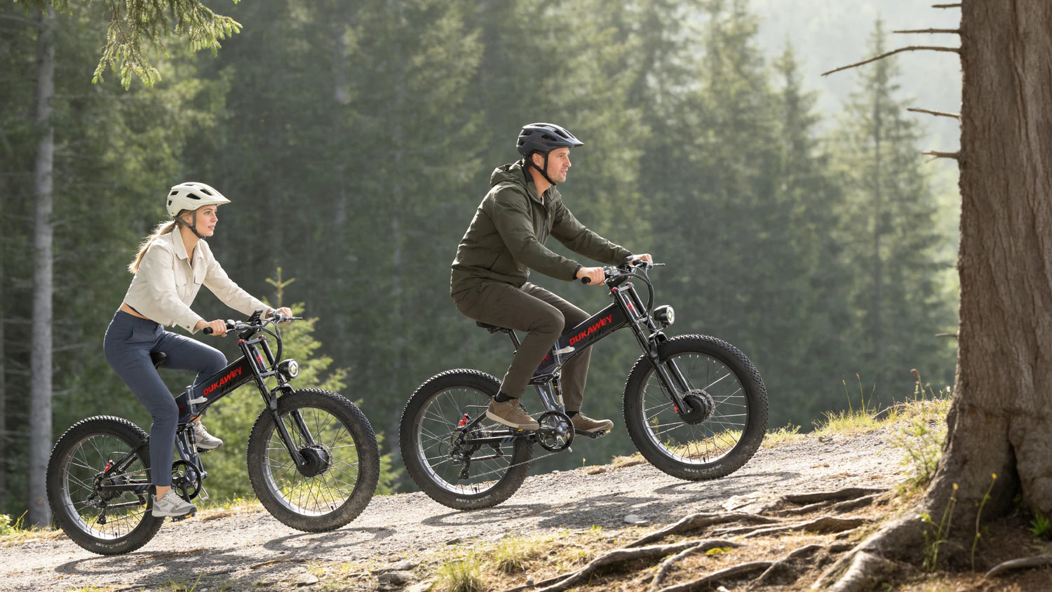 Dual Motor EBikes
