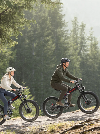 Dual Motor EBikes