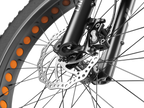 LANKELEISI RV800PLUS hydraulic disc brake and front fat tire close-up