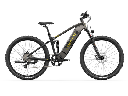 LANKELEISI RX600PRO
