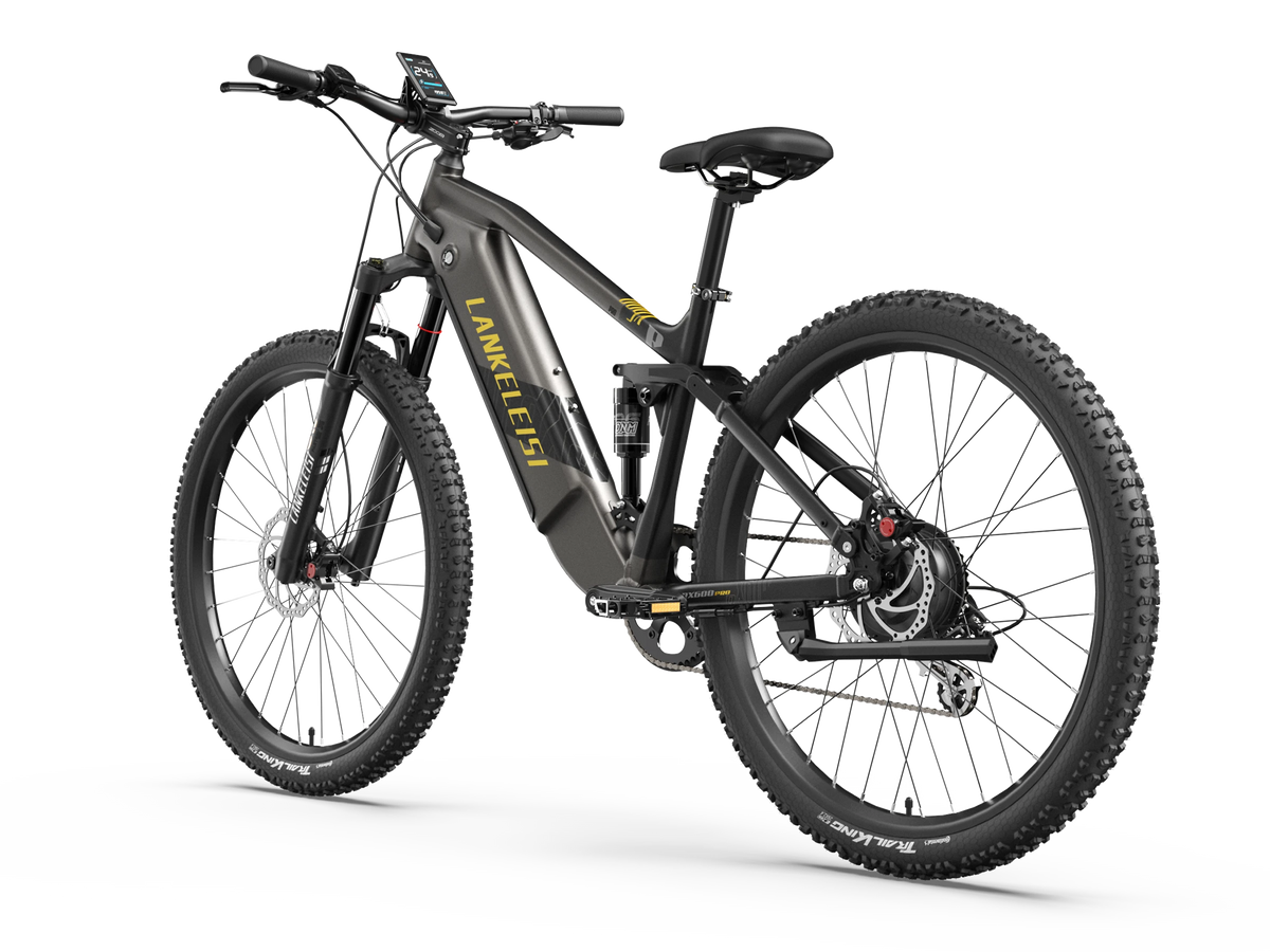 LANKELEISI RX600PRO