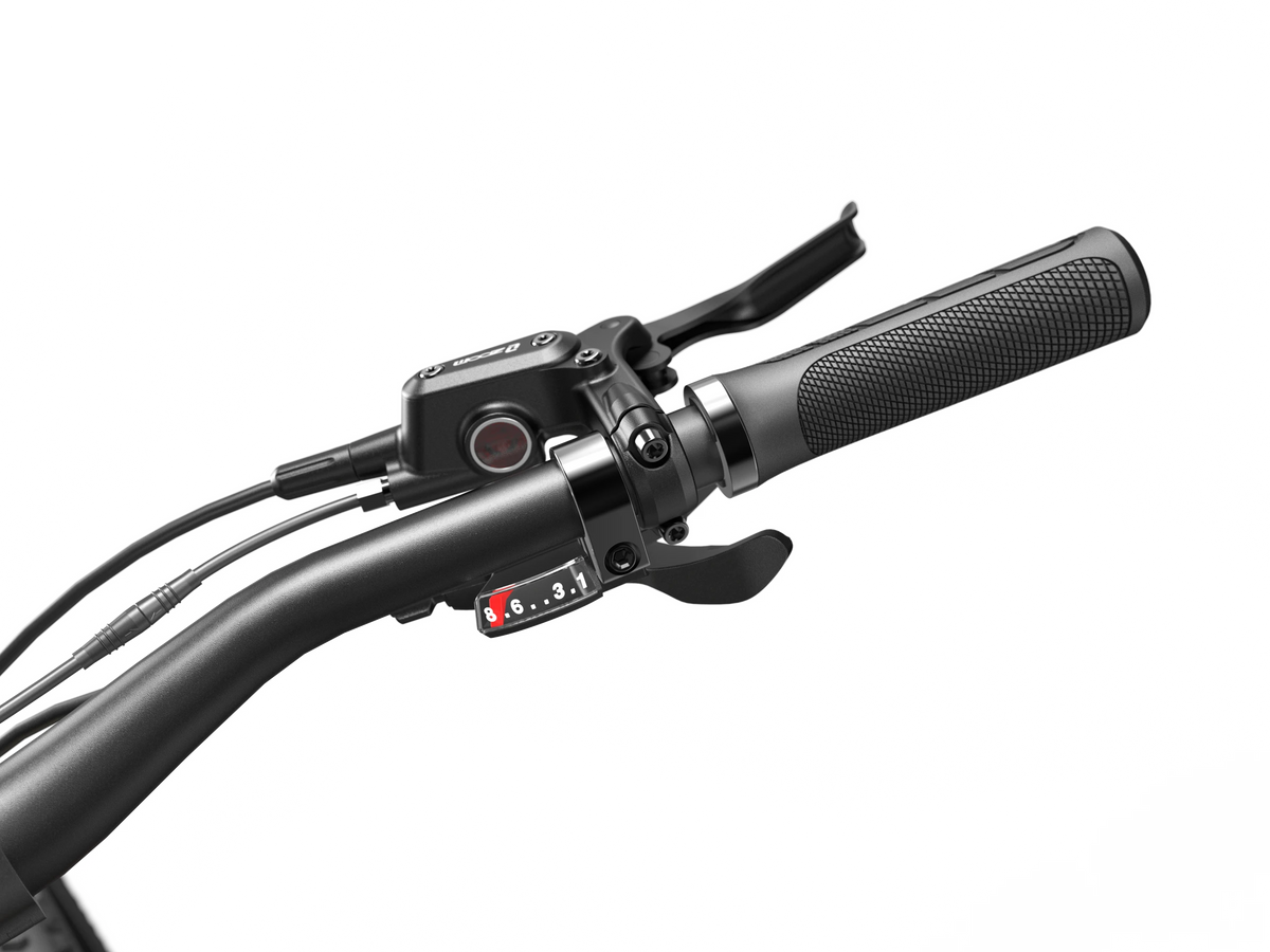 LANKELEISI RX600PRO